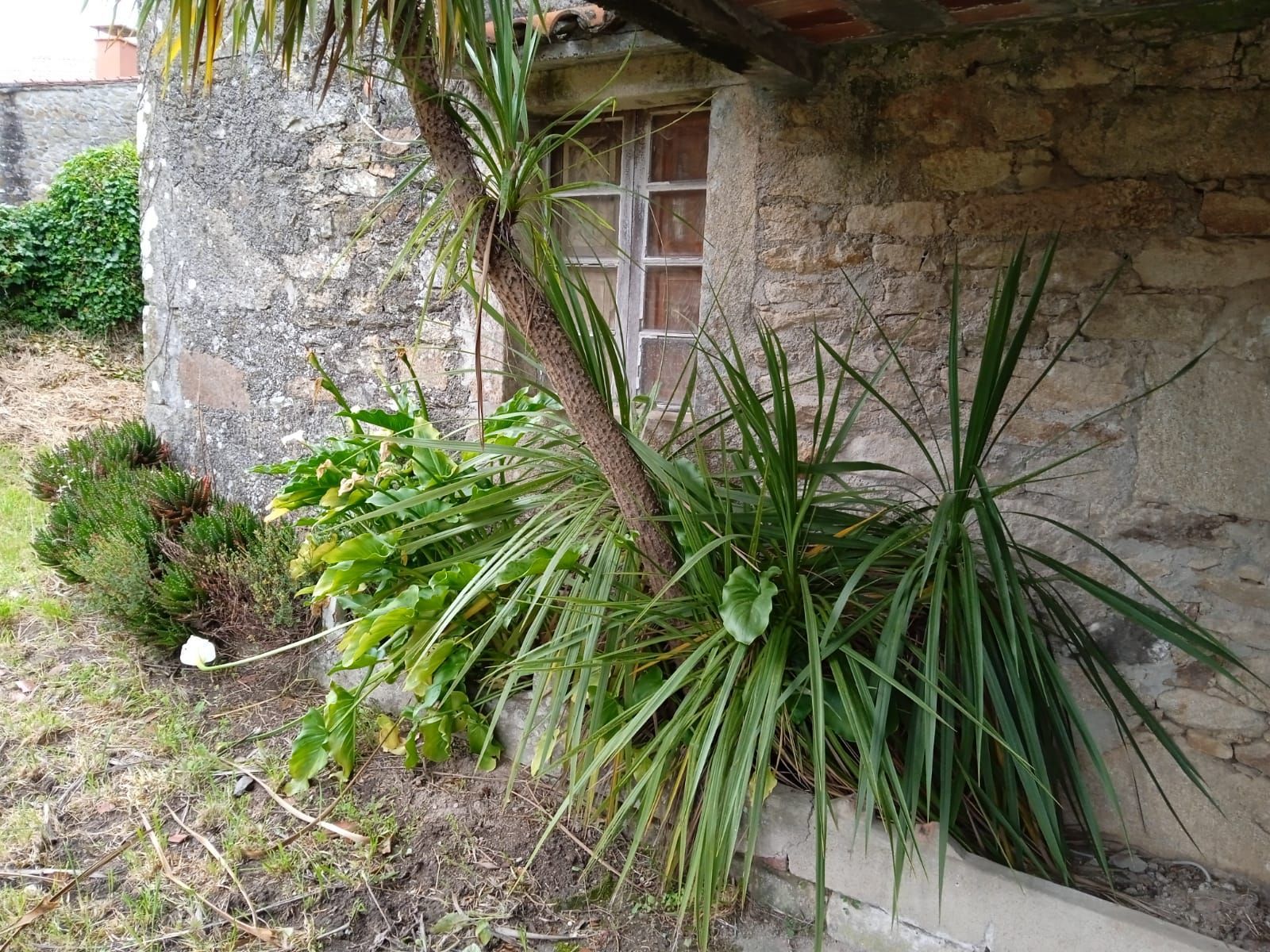 Casa de campo en Silleda, MARTIXE, venta