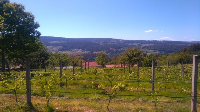 Casa / Chalet en Estrada, A, A Estrada, venta