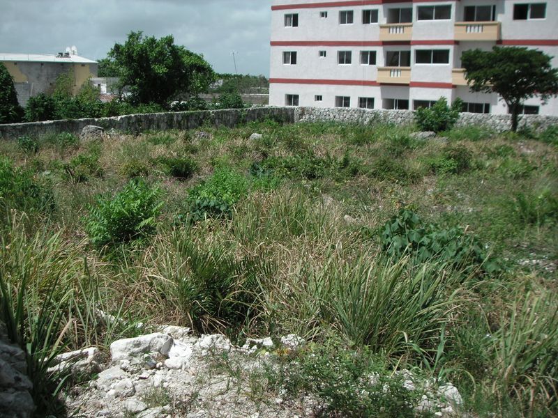 Parcela en Verón Punta Cana (D. M.)., Av. EEUU, venta