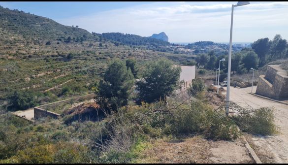 Grundstück in Calpe / Calp, Urb Empedrola, verkauf