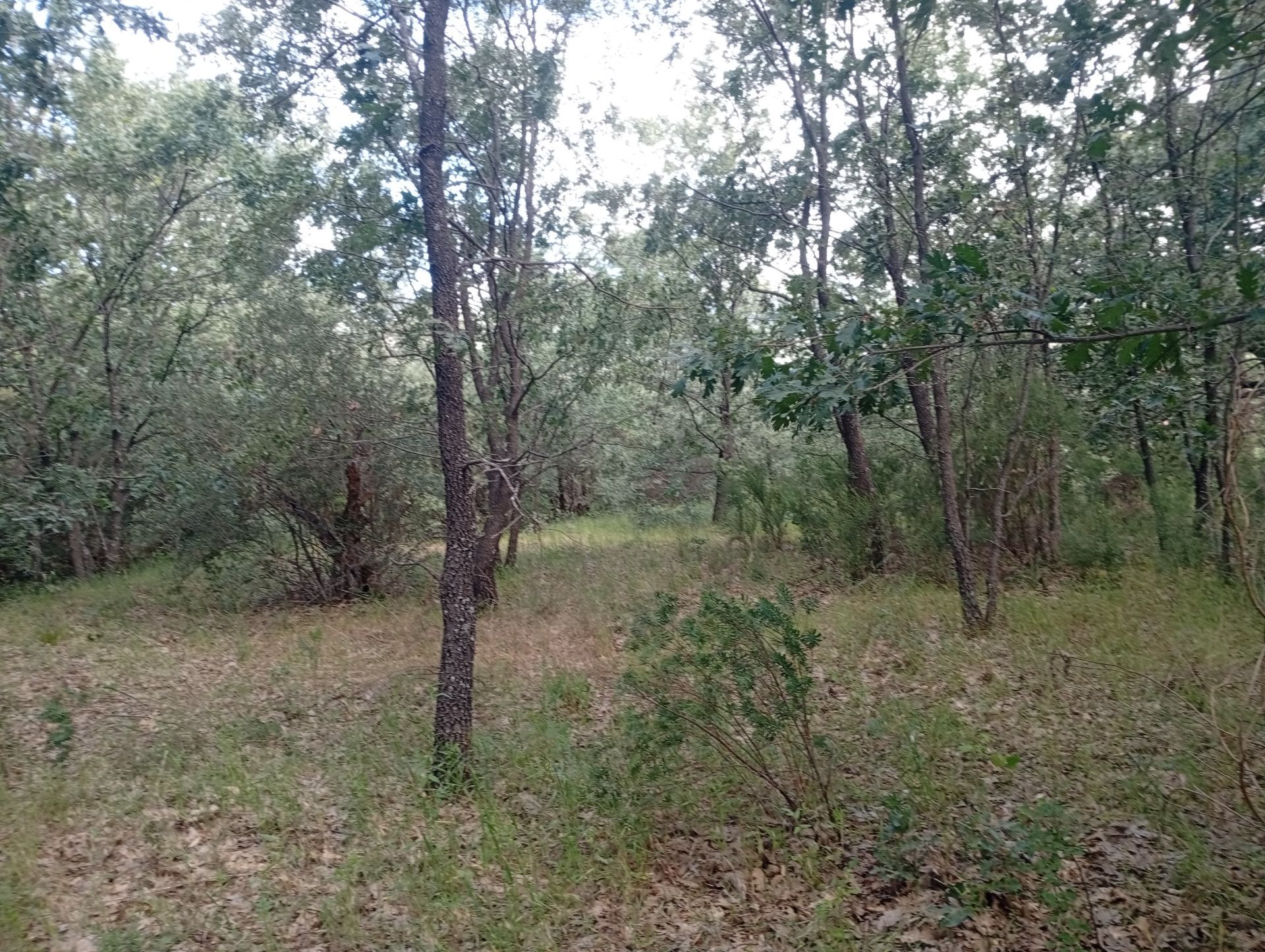Casa de campo en venta en Quijorna