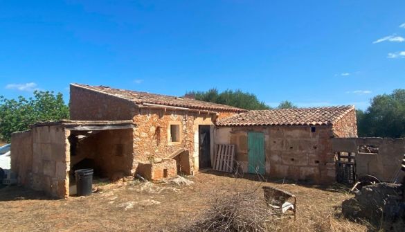 Terreno agricoli in Artà, vendita