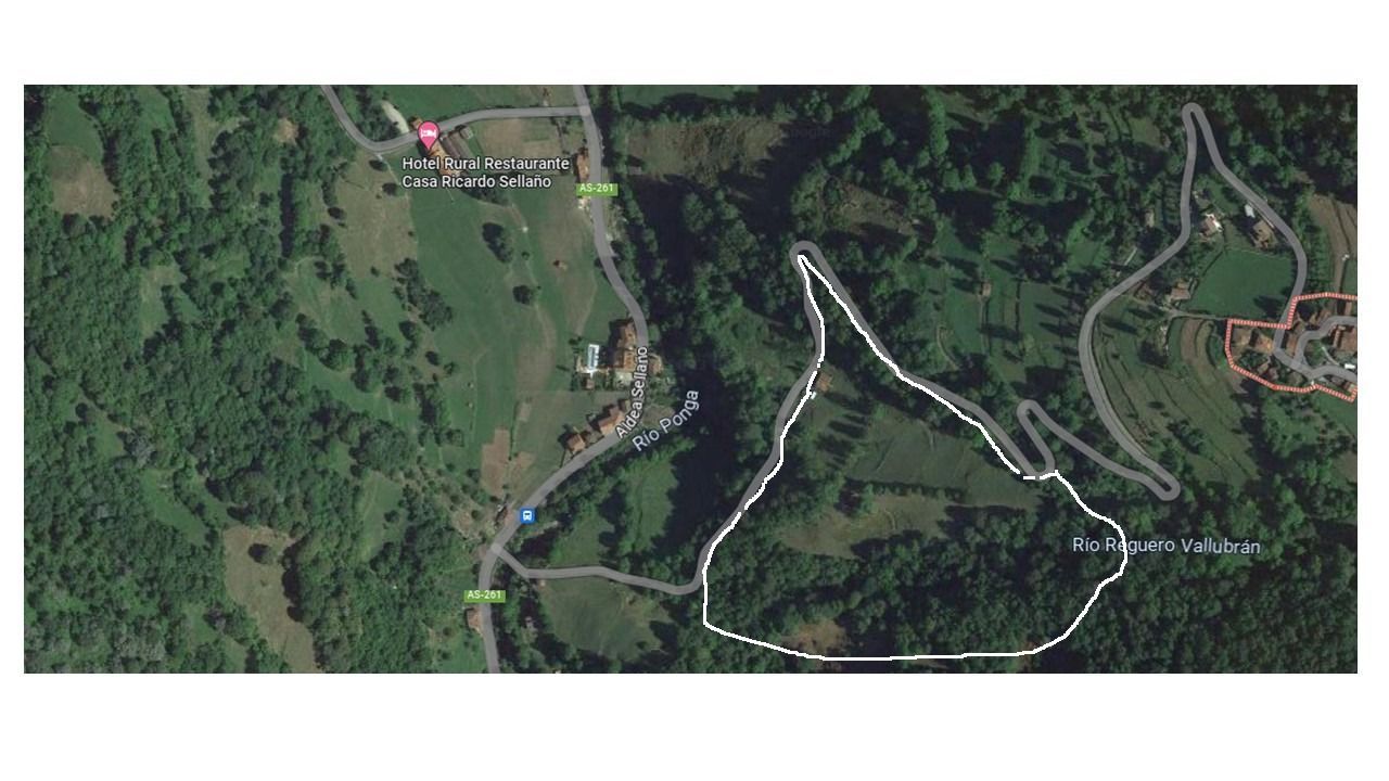 Finca rústica en Ponga, venta