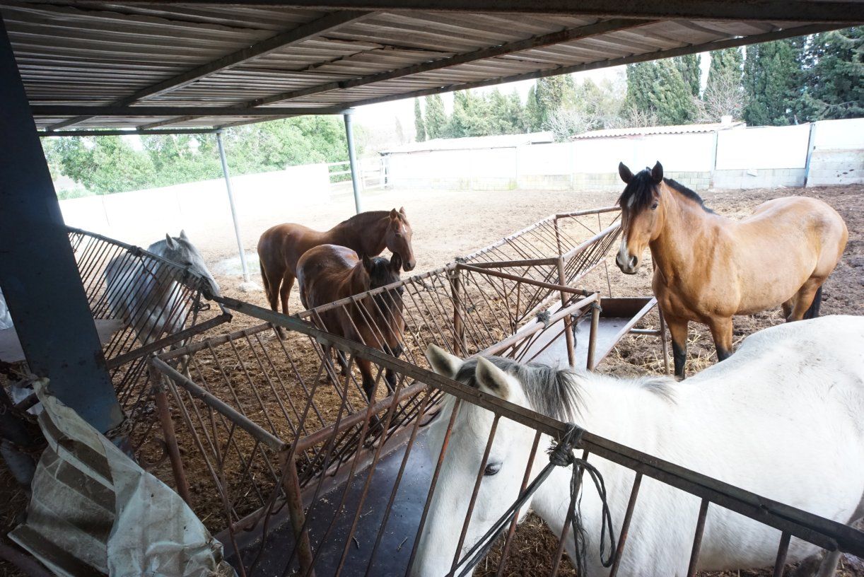 Finca rústica a Rota, BERCIAL, en venda