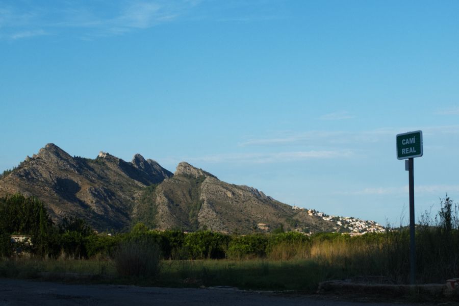 penyetes-roges.jpg