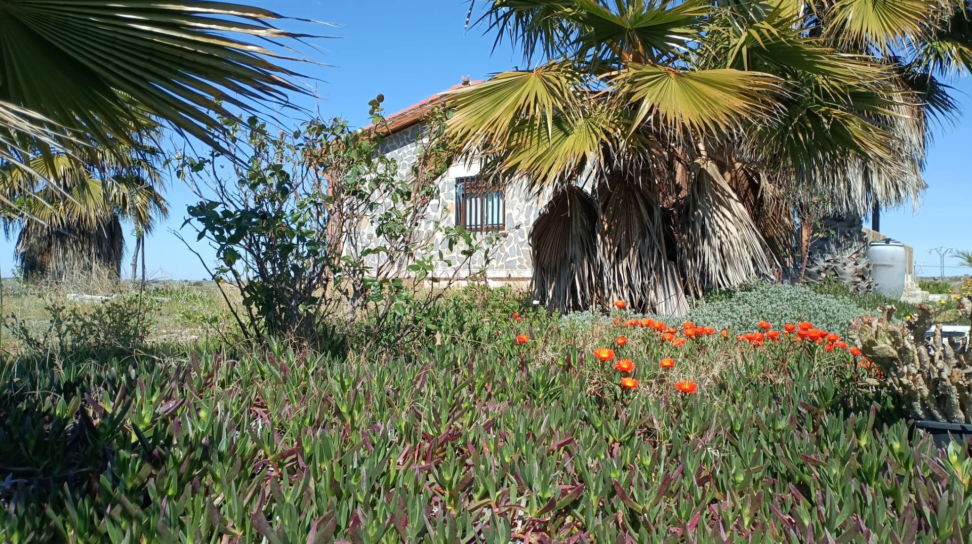 Villa in Cáceres, LOS PALACIOS, te koop