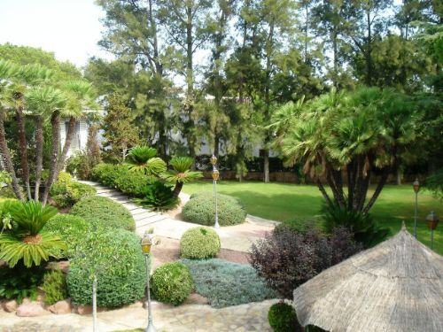 Parcela en Rocafort, ROCAFORT, venta