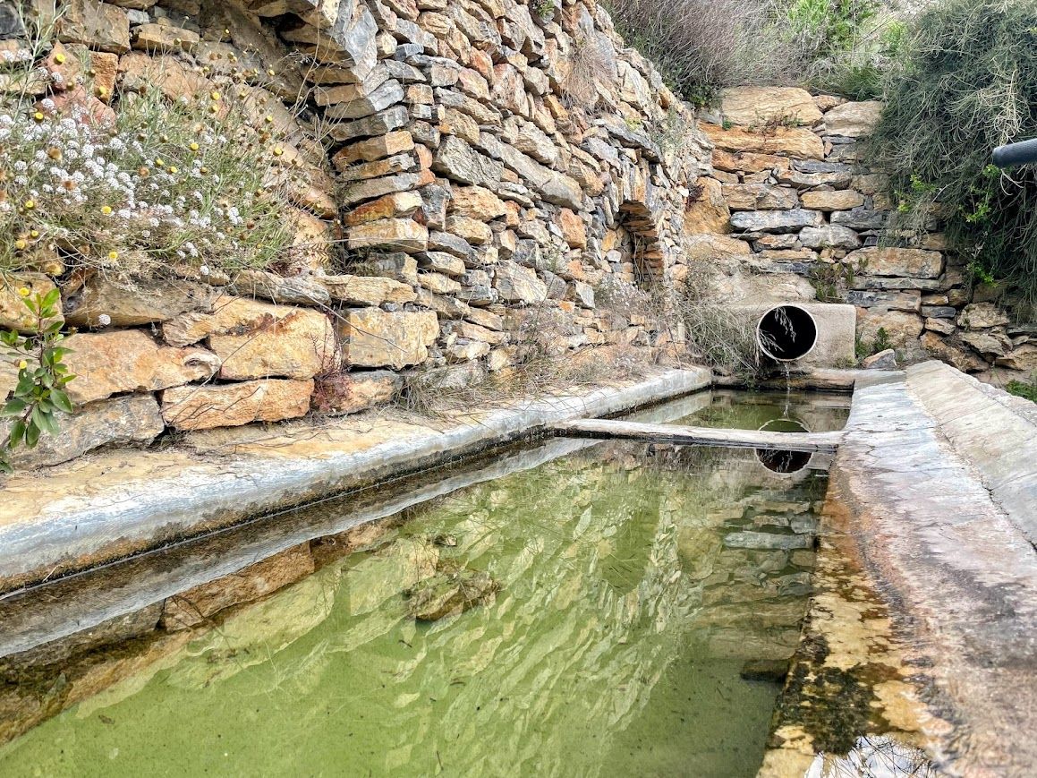manantial-de-cufria.jpg