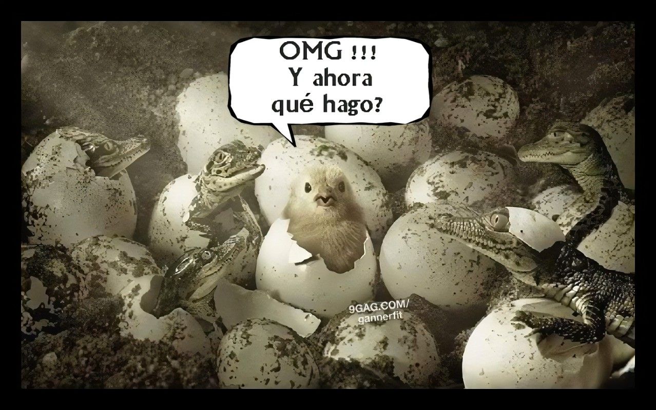 Y AHORA QUE HAGO???