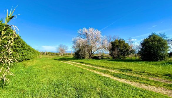 Plot in Navata, TorreMirona Golf & Spa, for sale