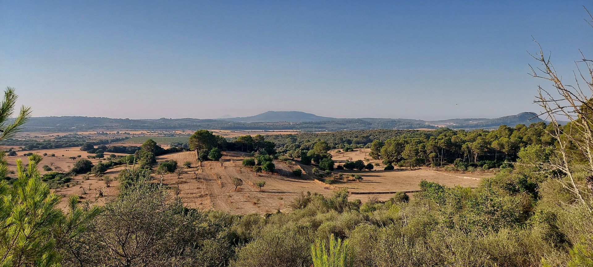 Parcela en Sineu, Sineu, venta