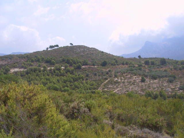 Lote em Bolulla, venda