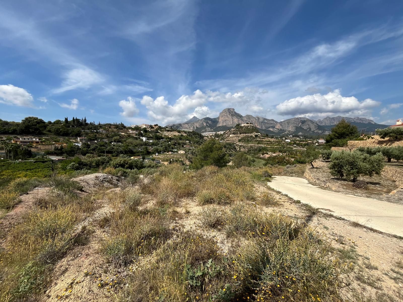 Parcela en La Nucía, venta