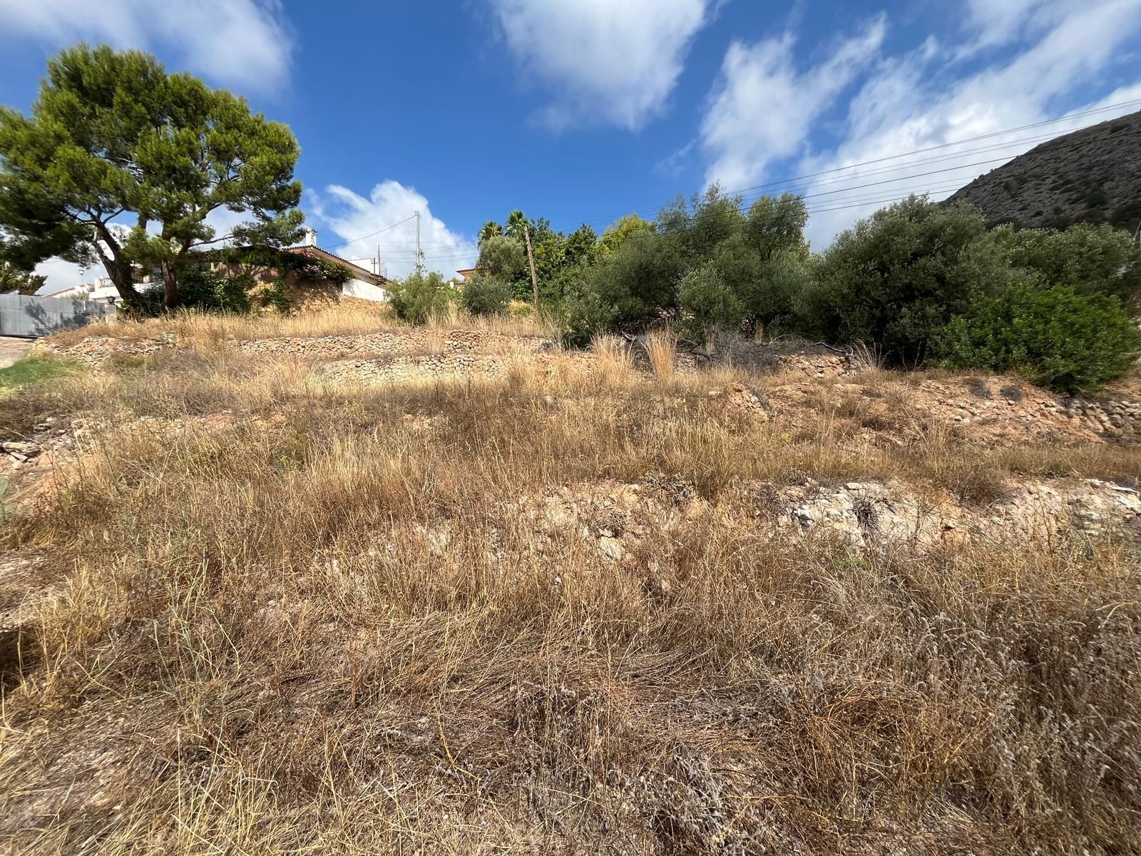 Parcel·la a Callosa d'en Sarrià, en venda