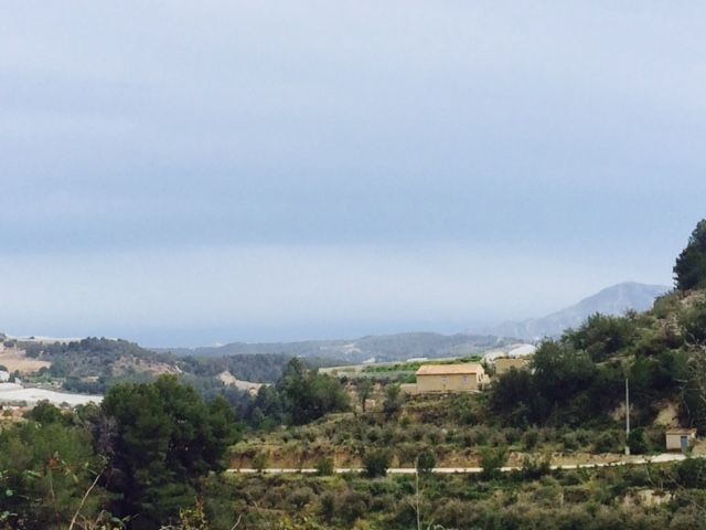 Parcela en Bolulla, partida Onaer cerca de Callosa d'en Sarria, venta