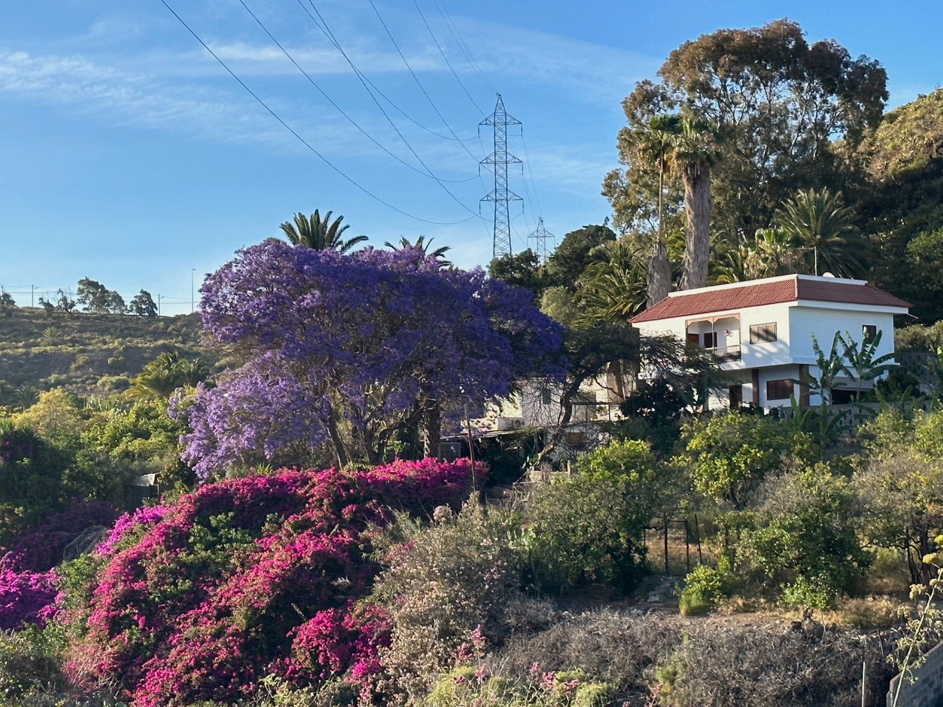 Finca rústica en Las Palmas, Telde, venta