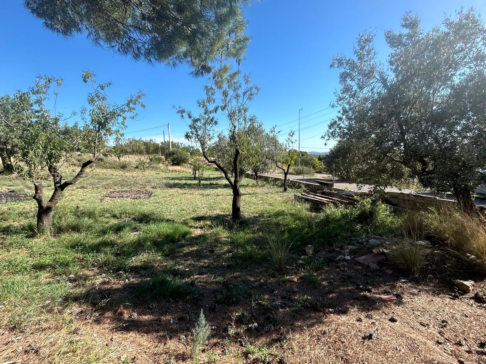 Parcela en Chiva, las pedrizas, venta