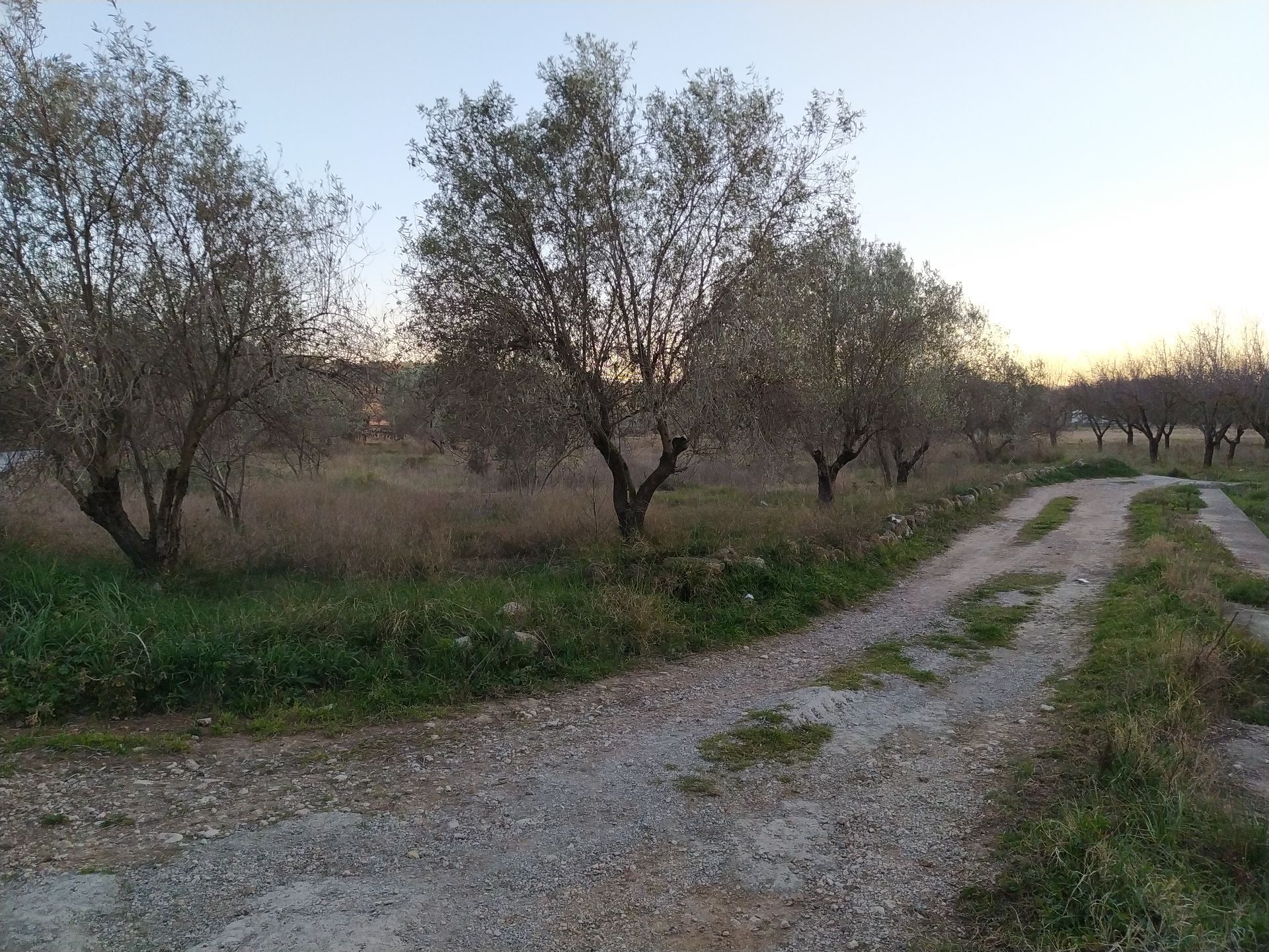 Finca rústica en Chiva, Armajal, venta