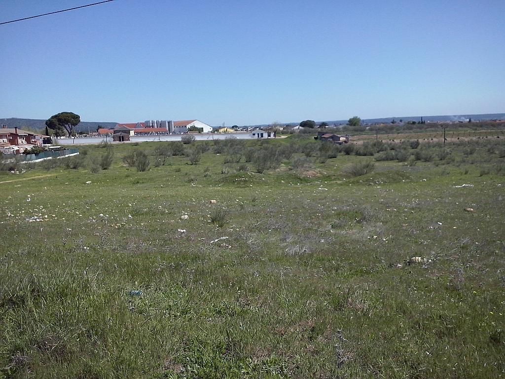 Finca rústica en Villa del Prado, venta