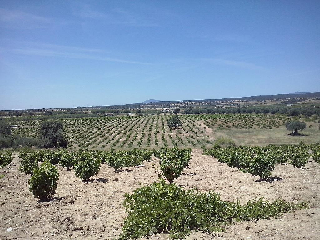 Finca rústica en Villa del Prado, venta