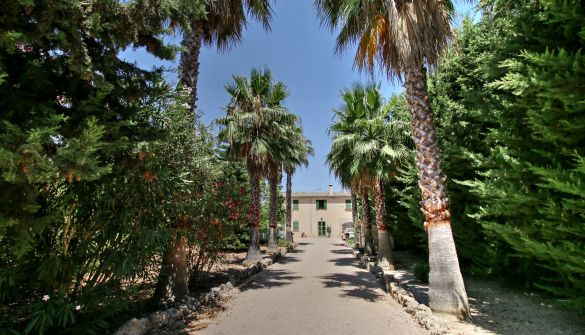 Country House in Palma, for rent