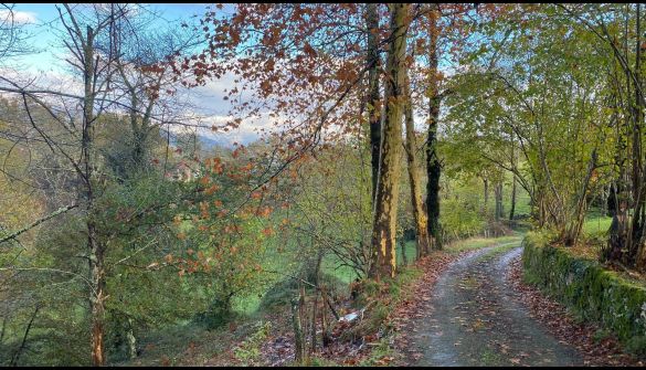 усадьба в Cangas de Onís, CANGAS DE ONÍS -, продажа