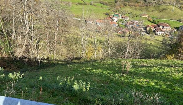 Finca rústica a Ponga, Concejo de Ponga, en venda