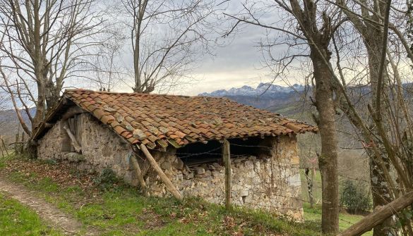 Terreno rústico em Cangas de Onís, CANGAS DE ONÍS -, venda