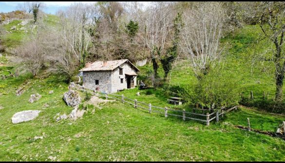 Enebolig i Piloña, Concejo de Piloña -, salg