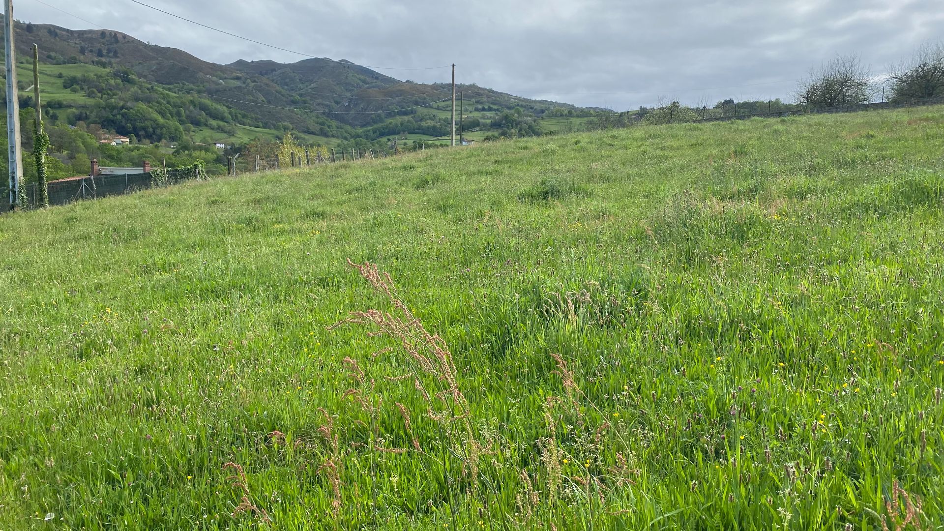 Landlige eiendommer i Parres, Concejo de Parres, salg