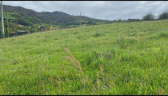 Landlige eiendommer i Parres, Concejo de Parres, salg