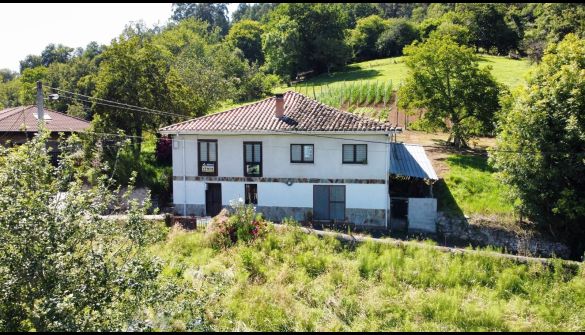 Villa i Piloña, Concejo de Piloña -, salg