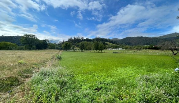 Lote em Parres, Concejo de Parres, venda