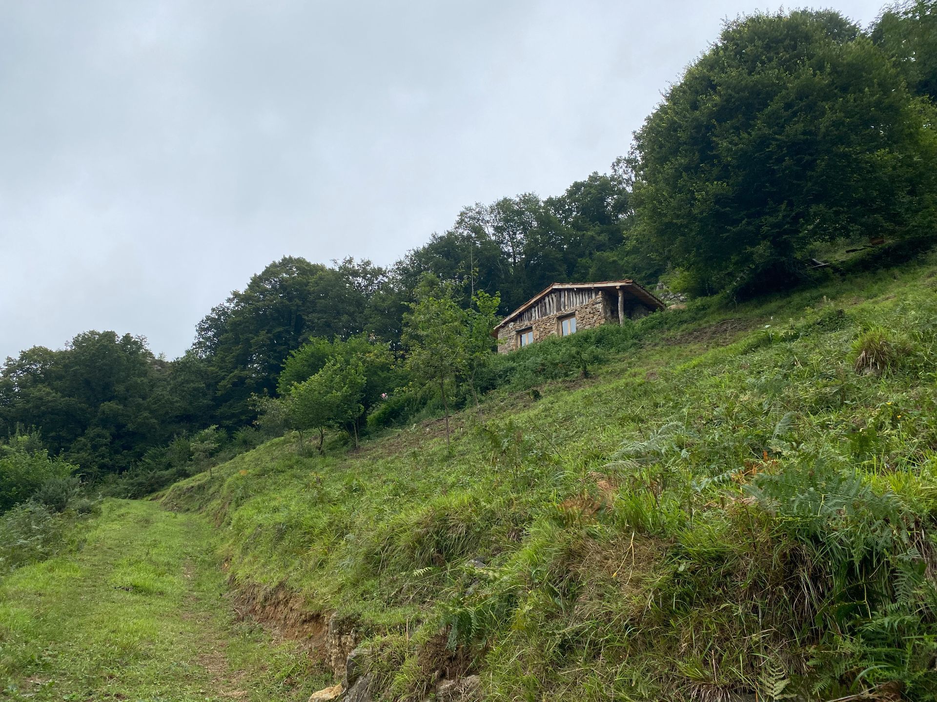 усадьба в Cangas de Onís, продажа