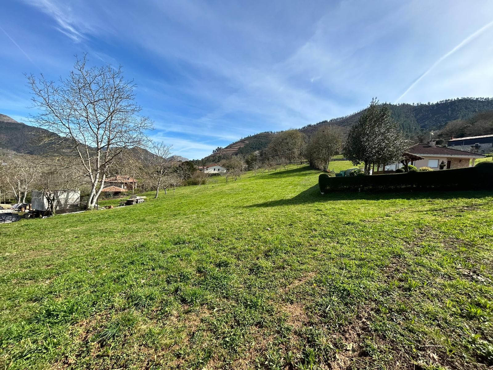 Grund i Cangas de Onís, Cangas de Onis, salg