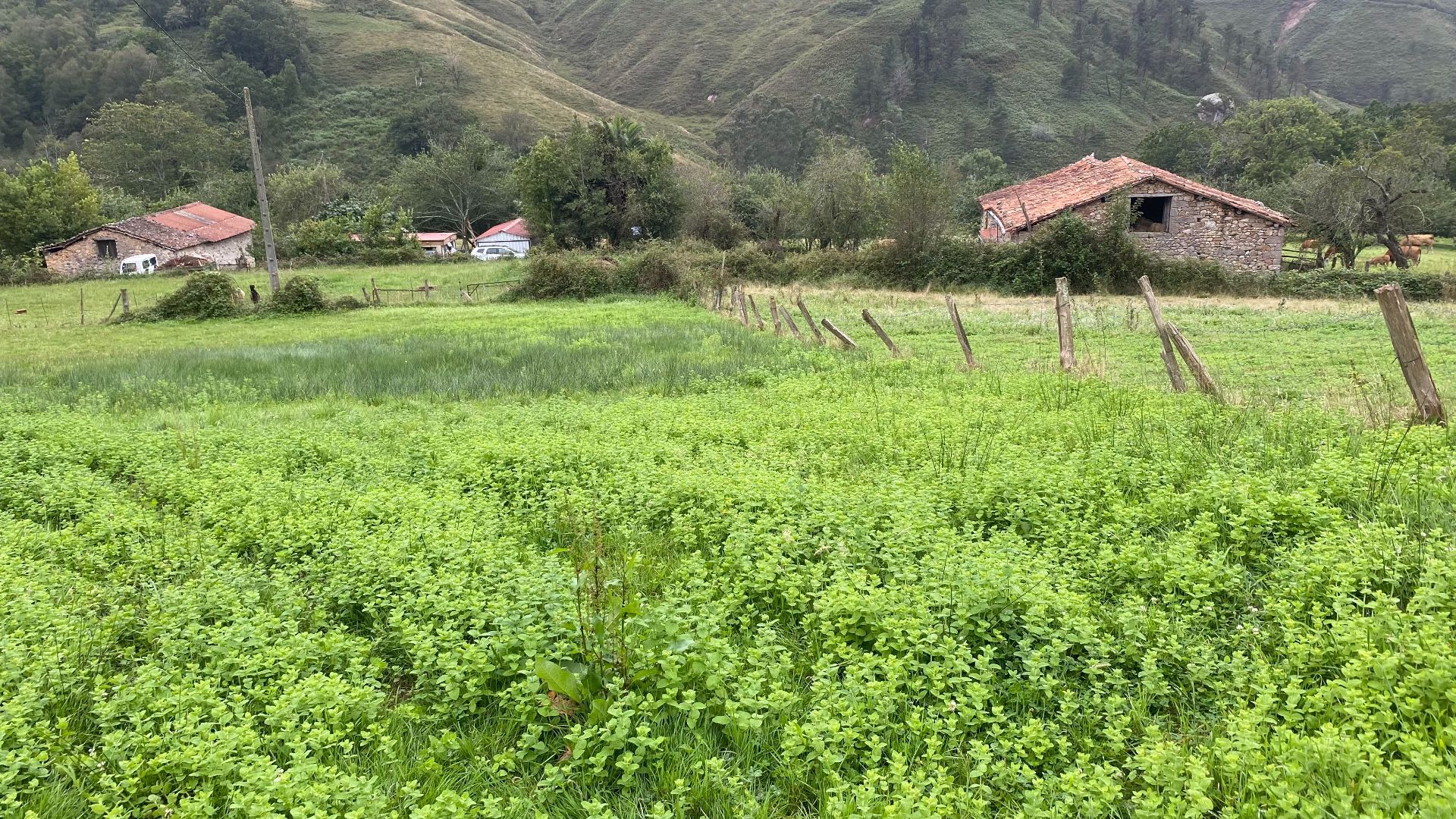 Lote em Onís, CONCEJO DE ONIS, venda