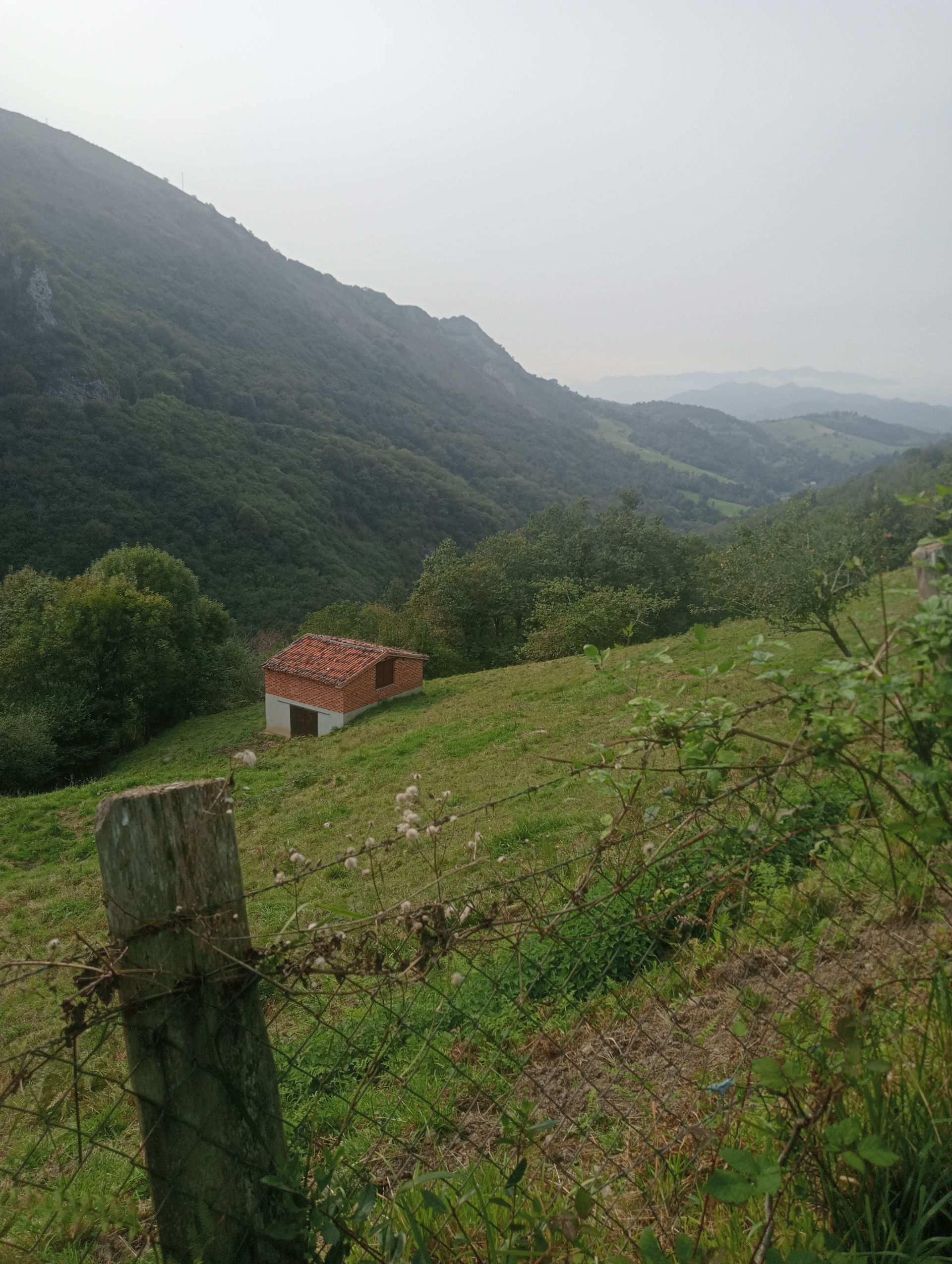Finca rústica a Onís, en venda