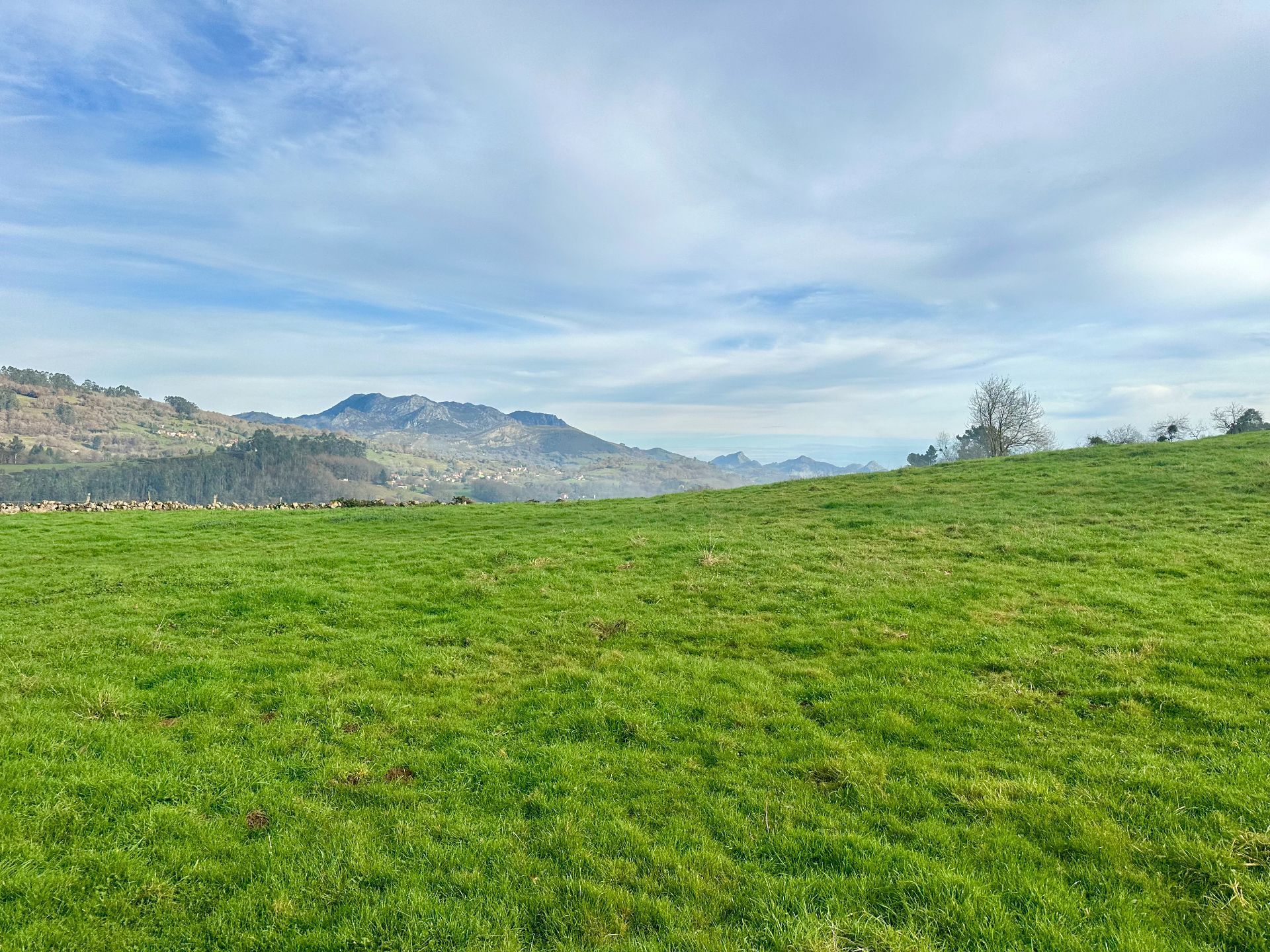 Tomt i Piloña, Concejo de Piloña -, salg