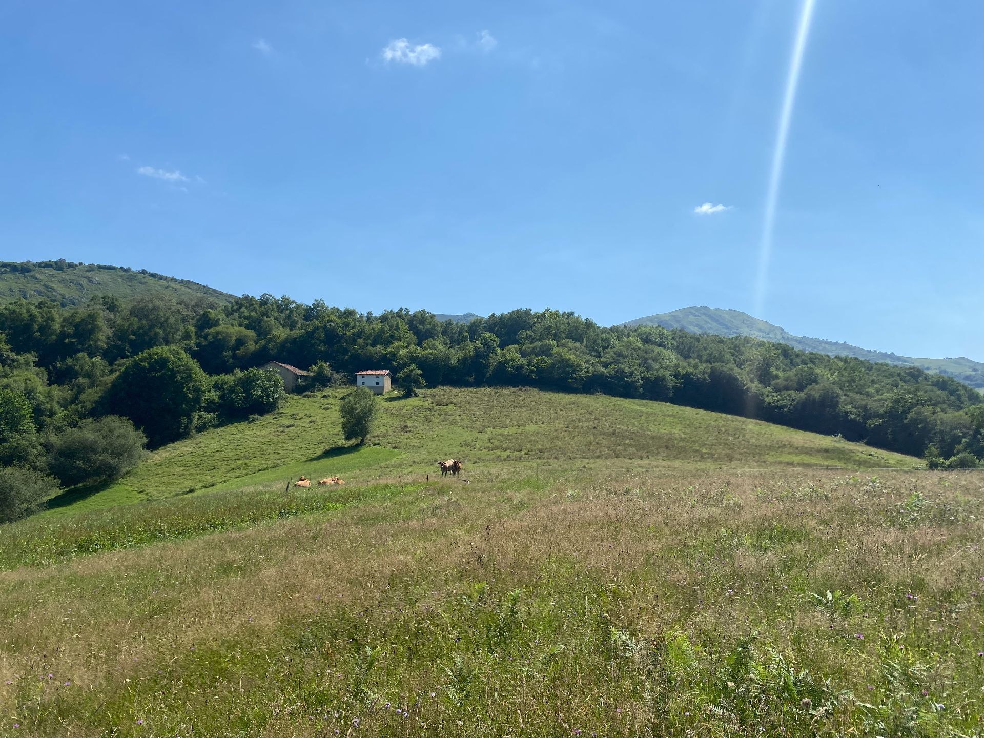 Casa / Chalet en Cangas de Onís, Cangas de Onis, venta