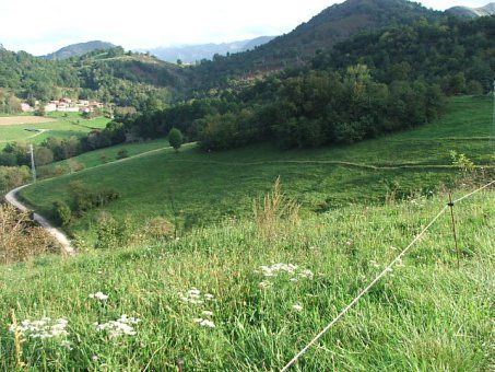 Ländliche Grundstücke in Cangas de Onís, Cangas de Onis, verkauf