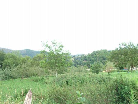 Ländliche Grundstücke in Cangas de Onís, Cangas de Onis, verkauf