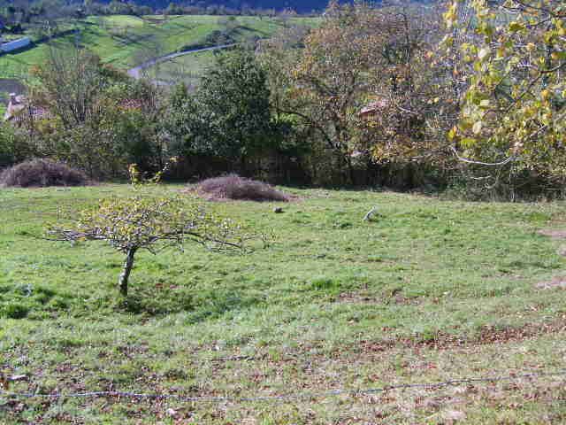 Grundstück in Cangas de Onís, Cangas de Onis, verkauf