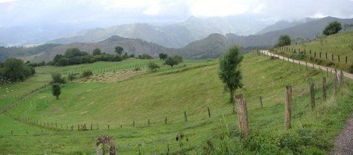 Grondstuk in Cangas de Onís, CONCEJO DE CANGAS DE ONIS, te koop