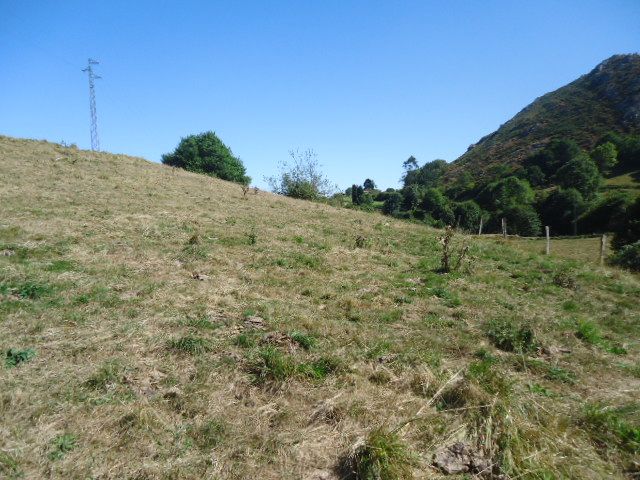 Terreno edificabili in Parres, Parres, vendita