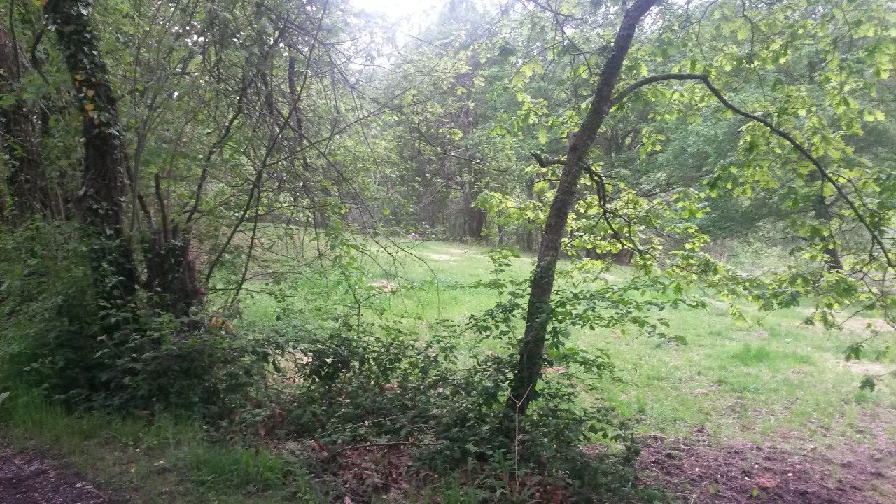 Ländliche Grundstücke in Parres, Parres, verkauf