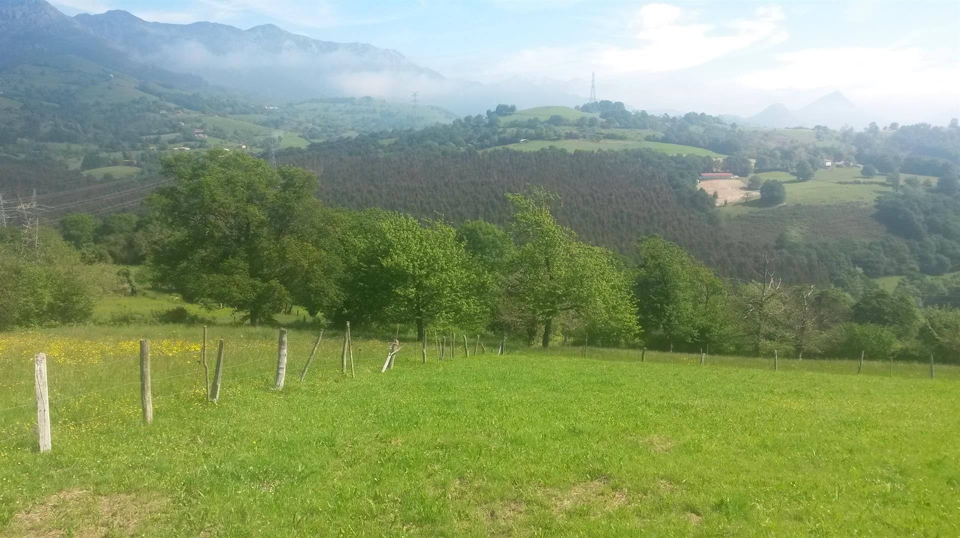Plot in Piloña, Resto provincia de Asturias - Piloña, for sale