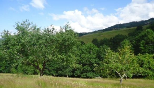 усадьба в Cangas de Onís, Resto provincia de Asturias - Cangas de Onís, продажа