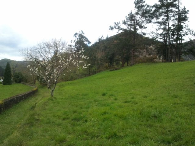 Земельный участок в Cangas de Onís, Oriente - Cangas de Onís, продажа