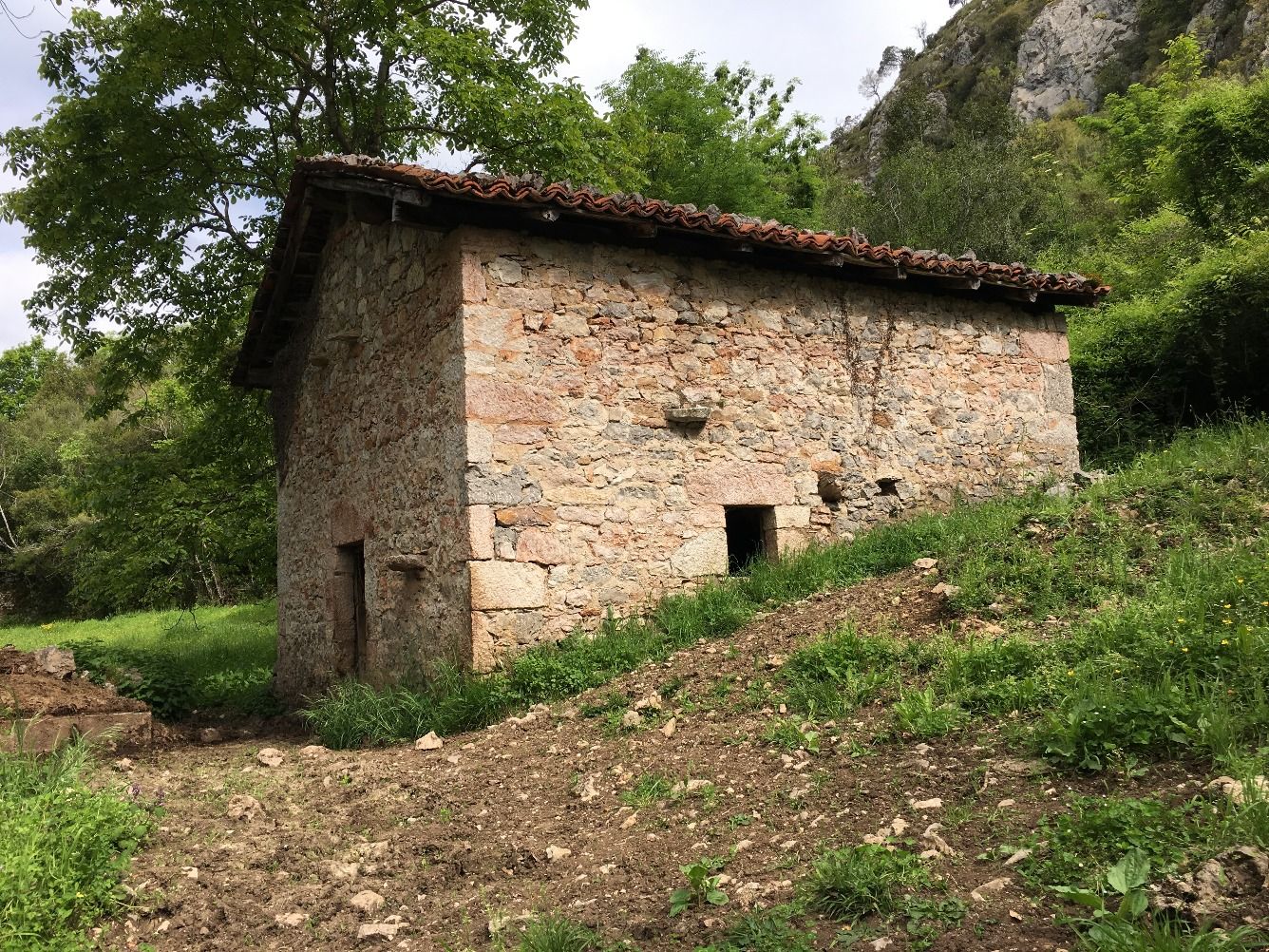 Lantegendom i Amieva, Oriente - Amieva, till salu 