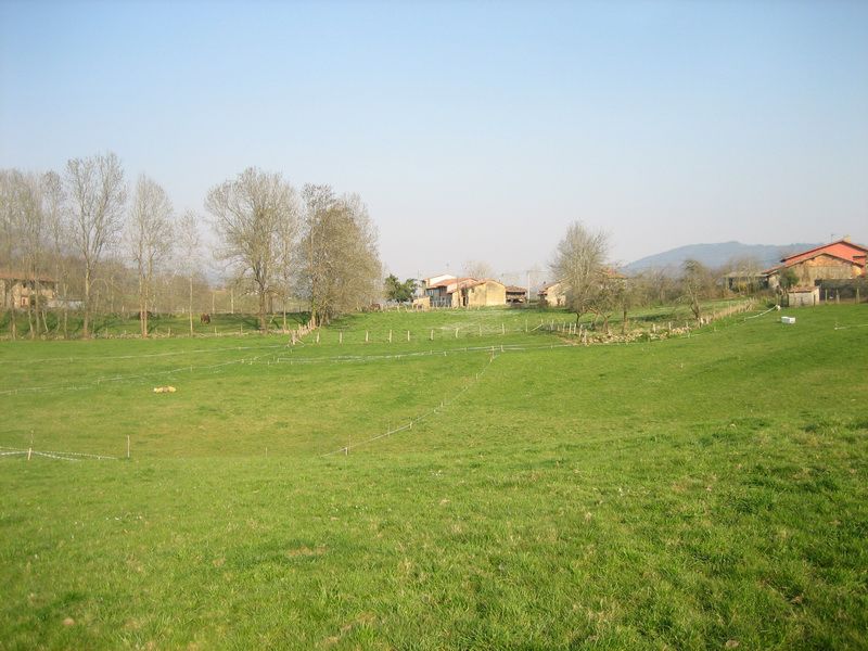 Parcela en Piloña, Resto provincia de Asturias - Piloña, venta